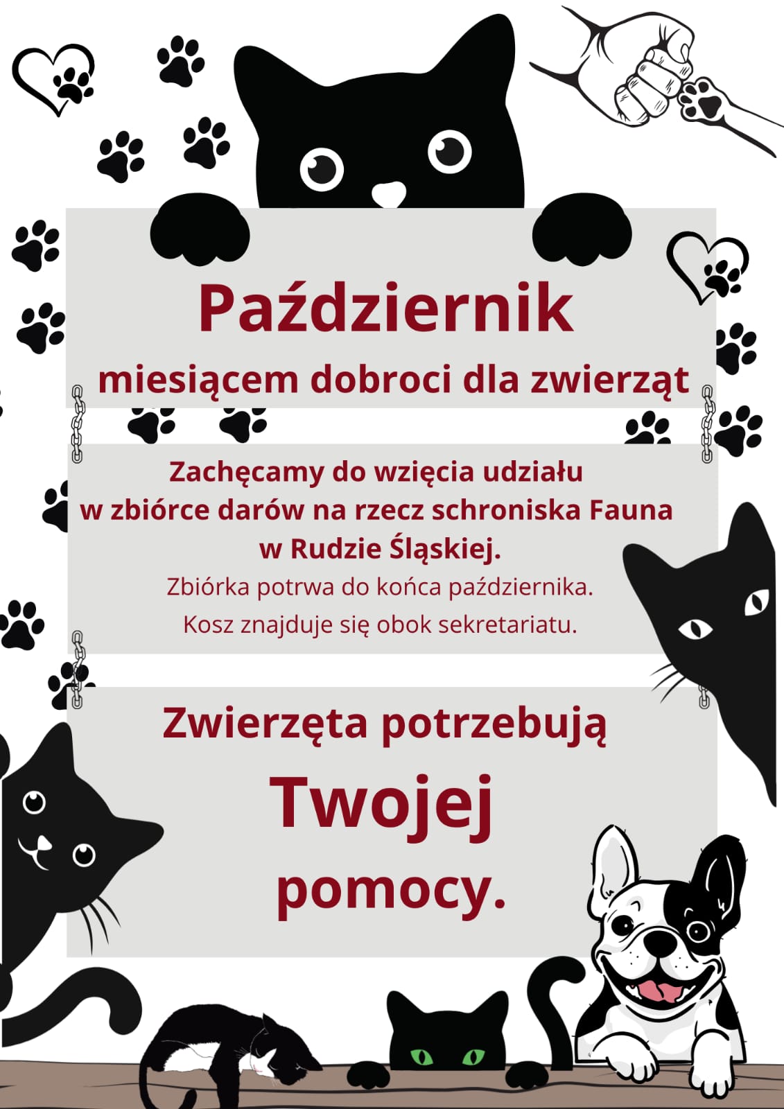zbiorka schronisko